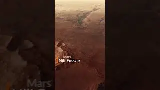 Surface of Mars!