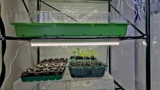 РАССАДА🌱 /ГОТОВКА🥘 /ПРОГУЛКА🌲/СЕМЬЯ ИЗ САМАРЫ