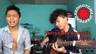 Red Hot Chili Peppers ~ By The Way Acoustic Cover