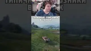 ТИПИЧНЫЕ СОЮЗНИКИ В ТАНКАХ 