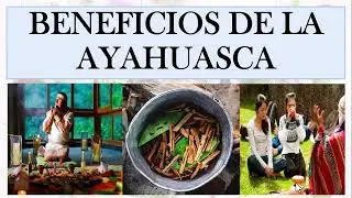 BENEFICIOS DE LA AYAHUASCA
