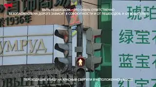 Безопасность пешеходов/Государственная программа «Безопасный край» на 2020-2027 годы»