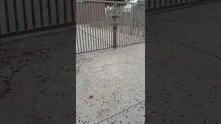 quiere llover en Phoenix Arizona. 🙏🙏