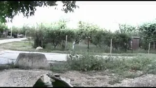 Интервью с МС Анютой