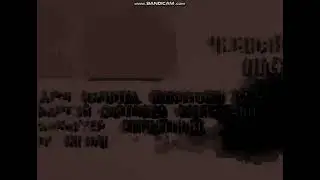 Взлом ТНТ 2005 dog incident