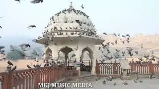 Pigeon_Flying_Sound__Pigeon_Flying_Sound_Effect