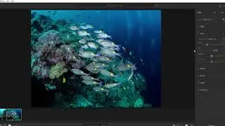 Post-Processing for Beginners: Working with RAW Files (3/6)