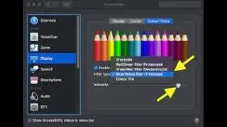Mac Accessibility Display Part 3