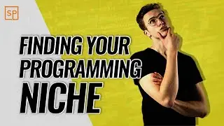 Finding Your Programming Niche