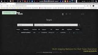 Multiple-stage malware/botnet .