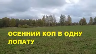 Шмурдкоптрест выпуск №36 