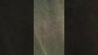 пуловер синий