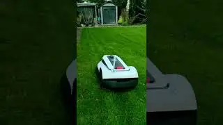 Der GOAT unter den Mährobotern! 🐐