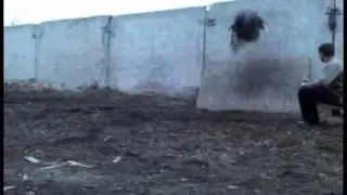 GldanuLa TraininG = D