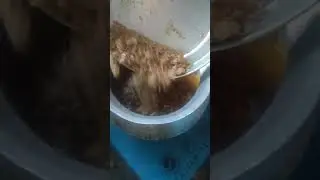 roti masala khichdi recipe