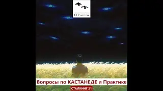 Вопросы по КАСТАНЕДЕ и Практике 290325