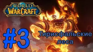 #3 Брилл - Тирисфальские леса [World of Warcraft]