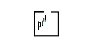 Motion Design |Logo Animation: Publik