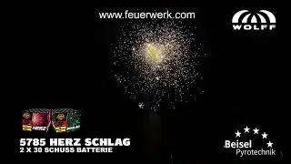 5785 Herz Schlag - Wolff