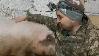 Индоутки занеслись! Кролики!Инкубация! Зазвездился!