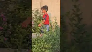 Wait for EnD vibe AzeriQara song Abu2malik short #shorts #viral #asquarecrew #trending #azeri #short