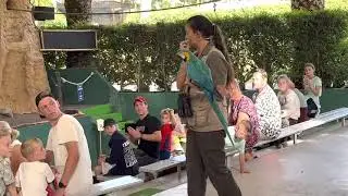 Zoomarine - Flying Colours Bird Show October 2022.