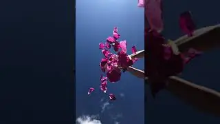 Чкруто)))