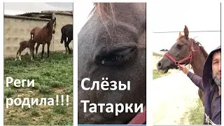 У меня две новости хорошая и плохая. 1. Реги родила. 2. Тамарка умерла.