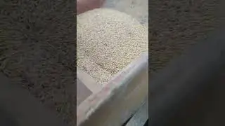 віялка, вієм ячмінь👍