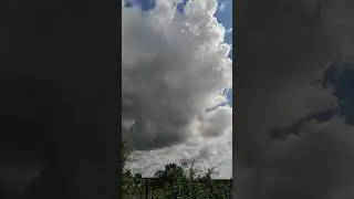 ЖДЕМ,ЧТО БУДЕТ.