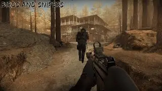 Ready or not: birds and snipers
