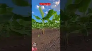 #agriculture