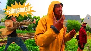 Learning to Farm with Chicago Urban Farmers