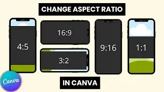 How To Change The Aspect Ratio in Canva | Canva For Beginners