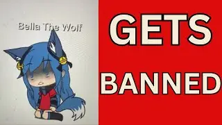 BellaTheWolf Needs To Be Banned From Social Media
