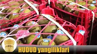 Ehtiyot bo'ling YONG'IN ! 70 million so'mlik KIVI to'xtatildi @ Buxoro yangiliklari