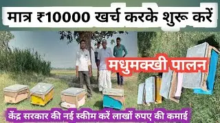 केंद्र सरकार की स्कीम मधुमक्खी पालन खर्च ₹10000 | madhu makkhee palan | Ram achal yadav |Bee keeping