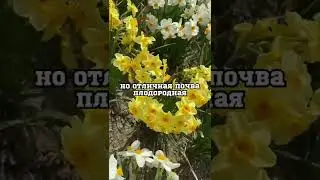 Куда переехать на юг России? Из города в деревню. 