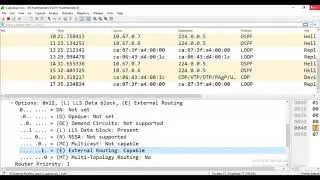 New CCNP   Day 38 OSPF   LAB Special Area Type