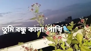 সাদা সাদা কালা কালা | Tumi bondhu Kala pakhi | হাওয়া সিনেমার গান | Chonchol chowdhury song |