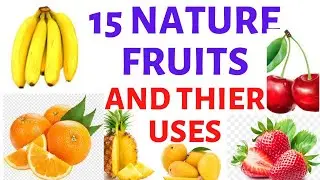 Fruits and Their Benefits|| Nature Fruits|| Primary Art Lesson