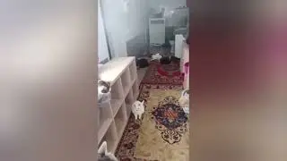 Благодарю каждого, кто хоть раз помог моим подопечным! Ваша помощь - очень важна для нас!🙏