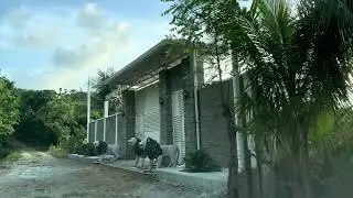 Pueblo Garifuna, Bajamar, Honduras 2023