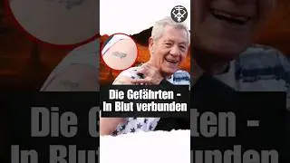 Herr der Ringe ist einfach etwas Besonderes ❤️ #herrderringe #hobbit #shorts