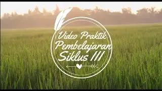 VIDEO PPL 3 BERLIN SISWANTO