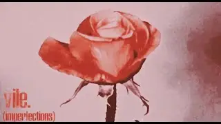 VILE. - IMPERFECTIONS [OFFICIAL MUSIC VIDEO] (2023) SW EXCLUSIVE