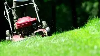 How To Make Grass Greener