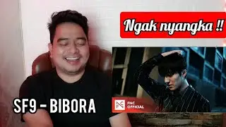 Reaction SF9 - BIBORA | MV