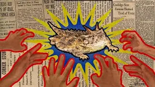 The Life, Death, and Afterlife of Old Rip the Horned Toad