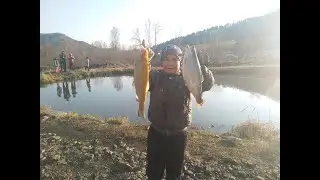КЛЁВАЯ рыбалка на форель!!! Выходные семьей. Ч.1